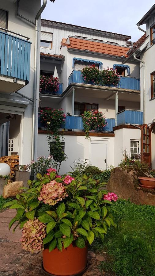 Hotel Wappenstube Erbach  Εξωτερικό φωτογραφία